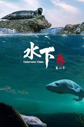 《水下中国第二季》：探索未知的蓝色世界，揭秘水下奇观