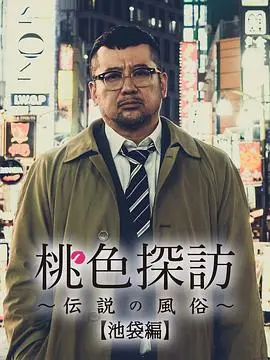 桃色探访 海报