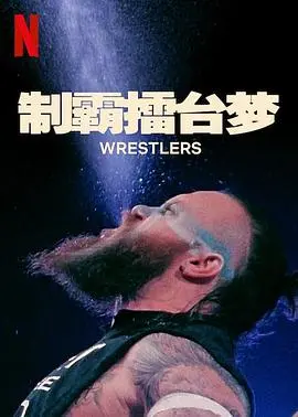 《制霸擂台梦第一季》：热血格斗与青春梦想的激情碰撞！