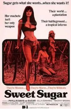 《蜜糖1974》：土耳其版的《阳光灿烂的日子》？一部关于逝去青春的甜涩回忆