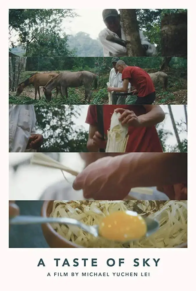 《天空的味道》：青春的汗水与梦想的色彩，一部触动心灵的网球电影