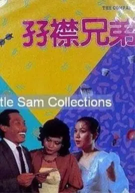 双襟兄弟：惊心动魄的双胞胎冒险与兄弟情深解析