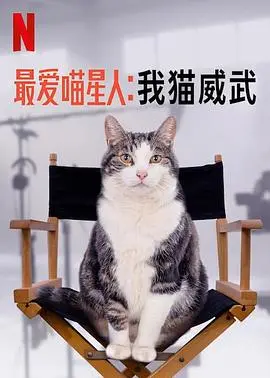 《我猫威武》：这猫不是来卖萌的，是来征服宇宙的！