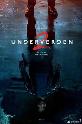 《自由协议 Underverden II》：这不是一般的笑星撞地球，这是瑞典版的“无间道”！